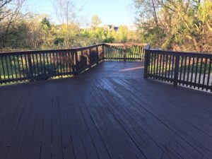 Staining Services